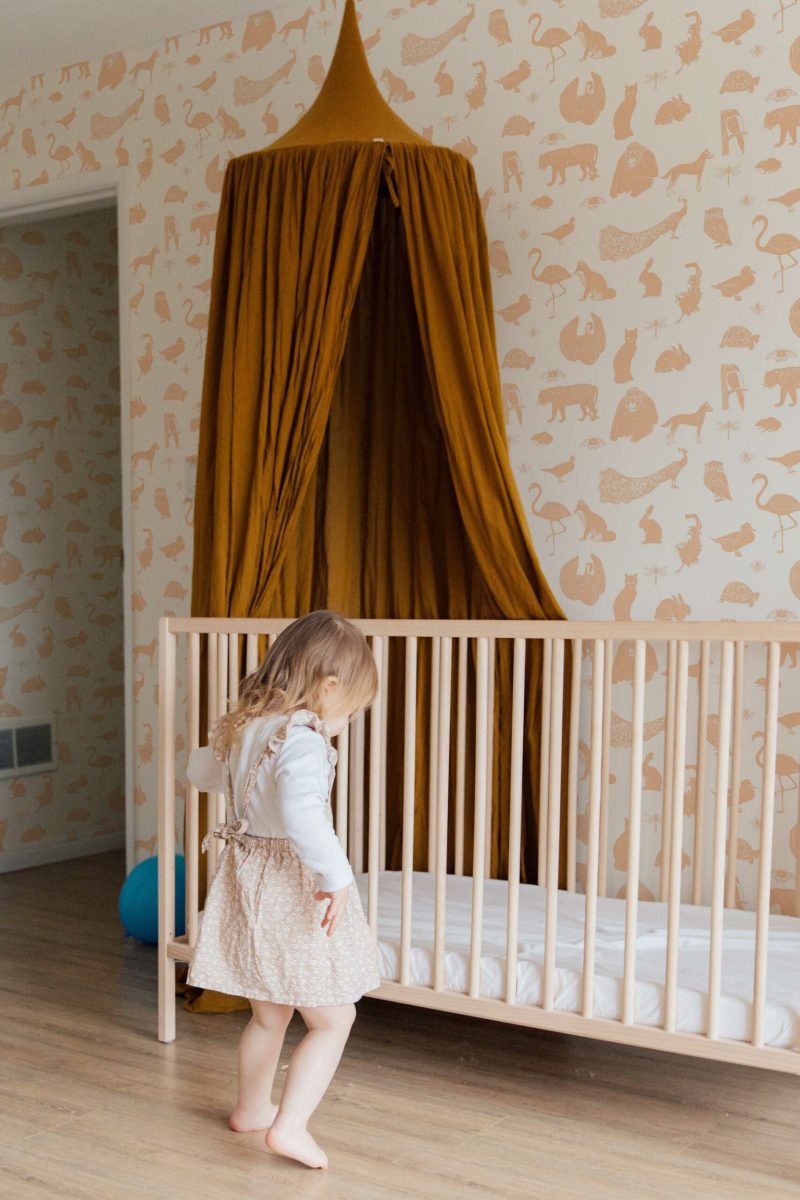 Fancy Walls Peel and Stick Wallpaper - Pink Zoo