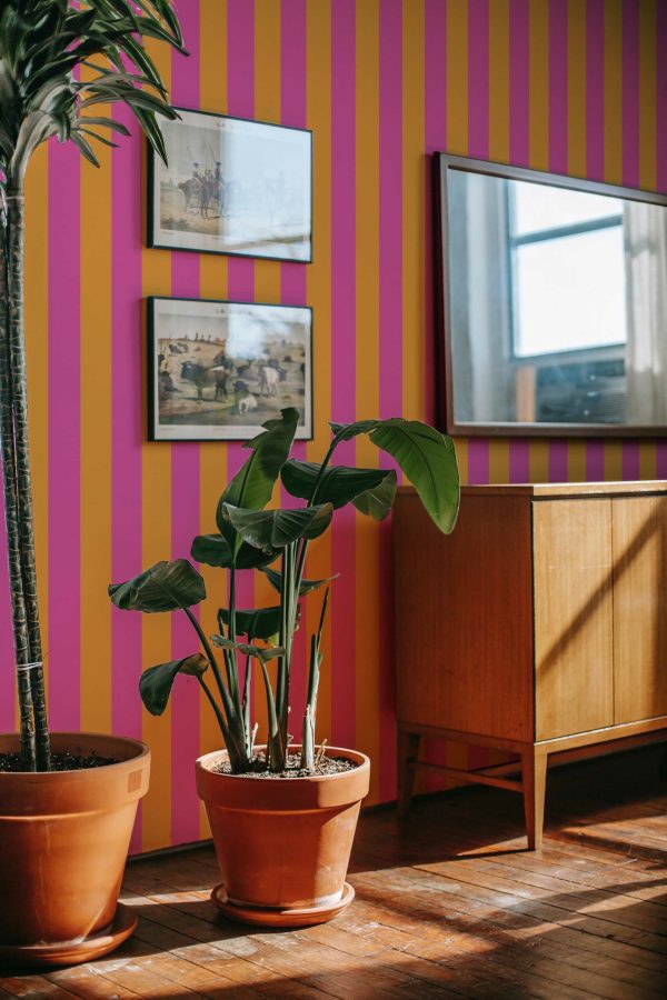 Fancy Walls Peel and Stick Wallpaper with Stripe Harmony