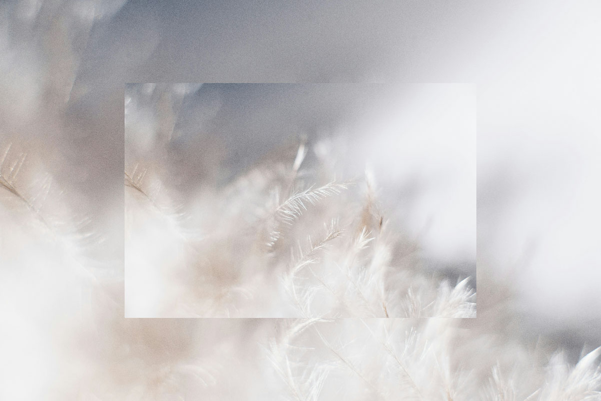 From Photography to Decor: Top Tips for Turning Your Photos into Wall Murals