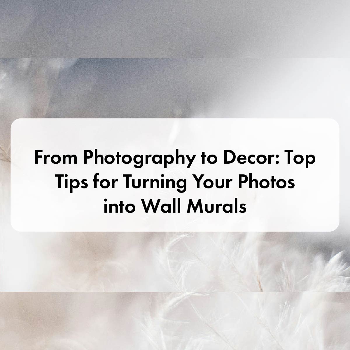From Photography to Decor: Top Tips for Turning Your Photos into Wall Murals