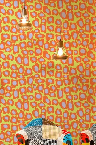 bold wallpaper collection