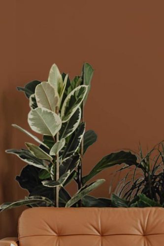 bworn wallpaper collection