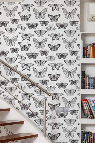 butterfly wallpaper collection