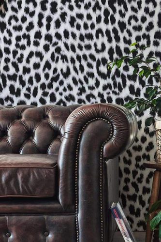 leopard wallpaper collection