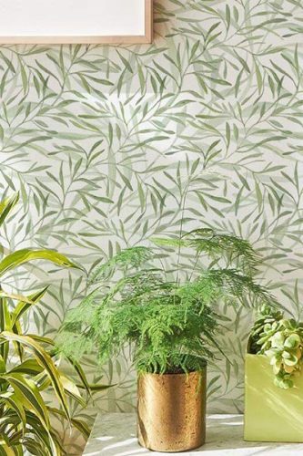 nature wallpaper collection