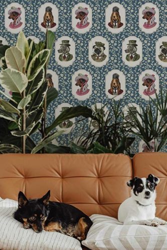 novelty wallpaper collecion