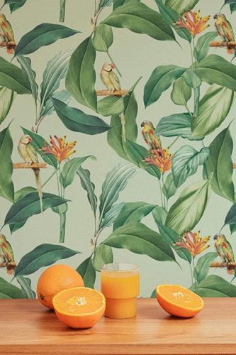 tropical wallpaper collecion