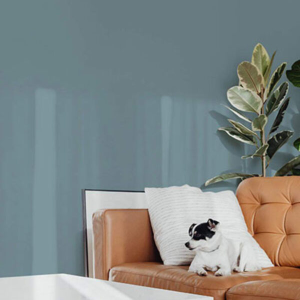 shop wallpaper by color