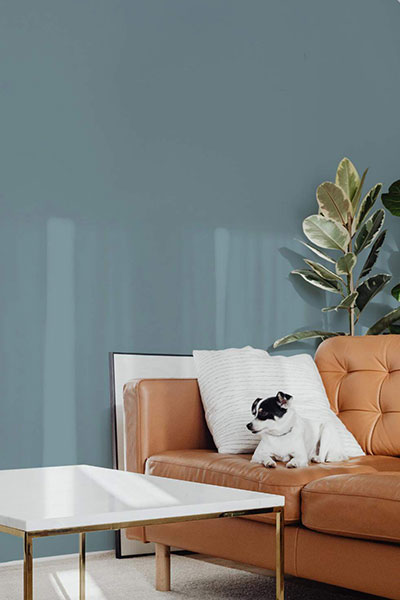 shop wallpaper by color