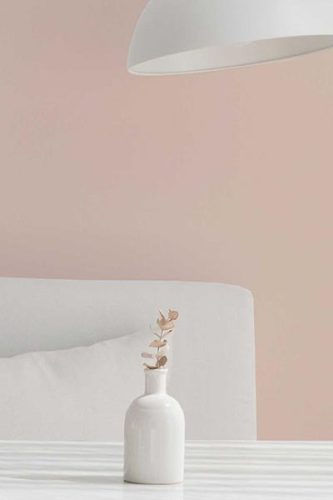blush color wallpaper