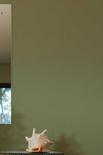 olive greeen wallpaper color