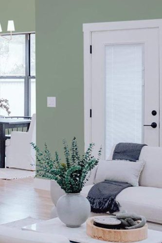 sage green wallpaper color