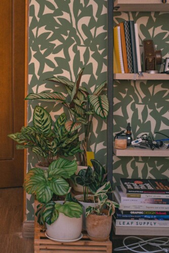 Southwestern style living room decorated with Abstract leave shadow peel and stick wallpaper