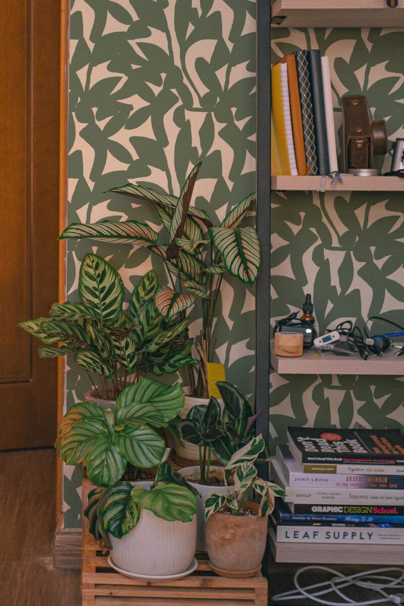 Southwestern style living room decorated with Abstract leave shadow peel and stick wallpaper