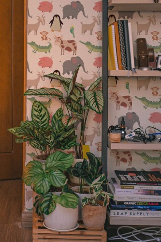 Southwestern style living room decorated with Animal peel and stick wallpaper