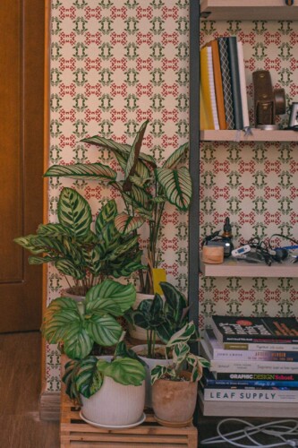Southwestern style living room decorated with Autumn berry pattern peel and stick wallpaper
