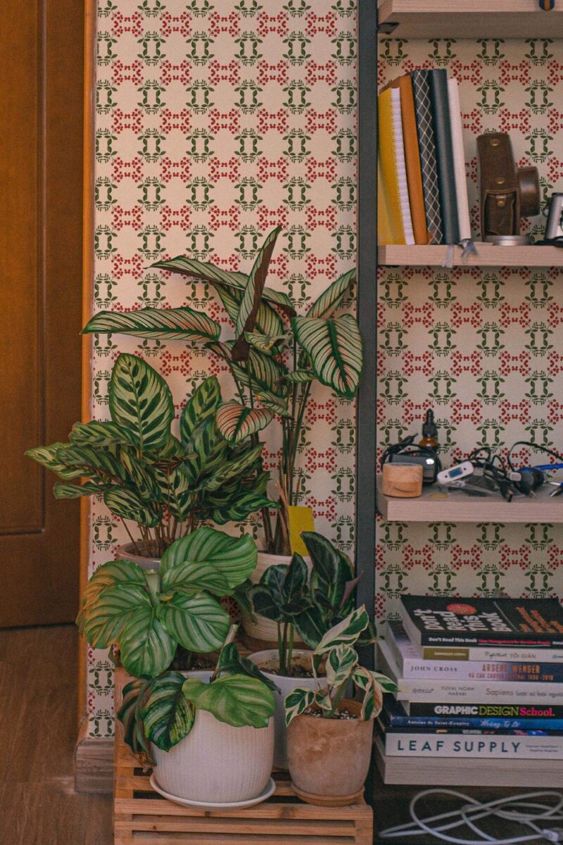 Southwestern style living room decorated with Autumn berry pattern peel and stick wallpaper