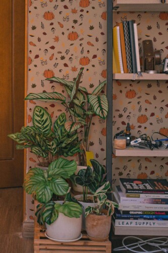 Southwestern style living room decorated with Autumn pattern peel and stick wallpaper