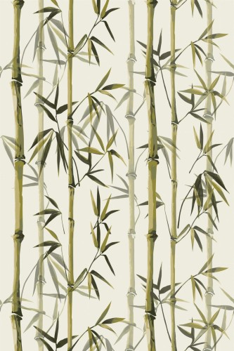 Pattern repeat of Bamboo removable wallpaper design