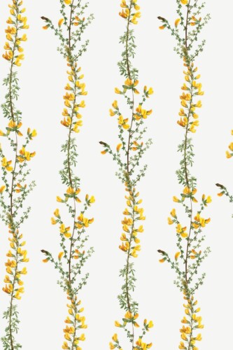 Pattern repeat of Beige Blooms removable wallpaper design
