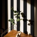 Mid-century style living room decorated with Black and white stripes peel and stick wallpaper