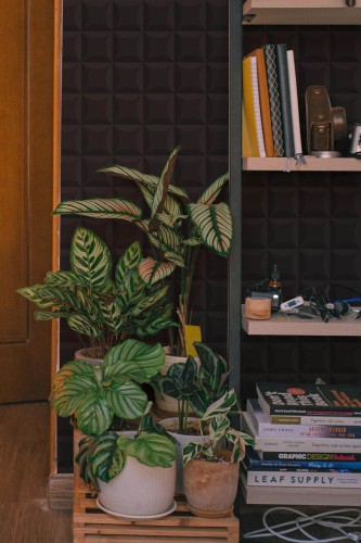 Southwestern style living room decorated with Black bathroom peel and stick wallpaper