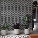 Fancy Walls removable wallpaper with black background and decorative mushrooms