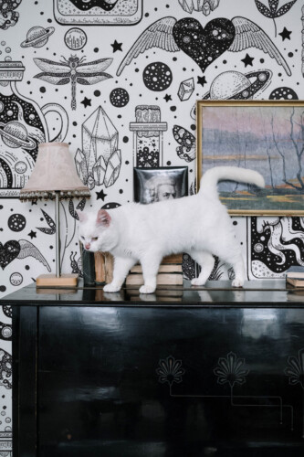 Black and white celestial peel and stick wall murals by Fancy Walls