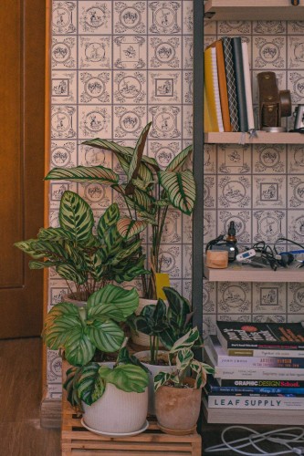 Blue Delft Tile Wallpaper with classic navy linework on a white background, styled in a cozy corner with potted tropical houseplants, a wooden crate, and a tall bookshelf holding books and decor. The vintage-inspired tile pattern adds timeless farmhouse charm to the interior.