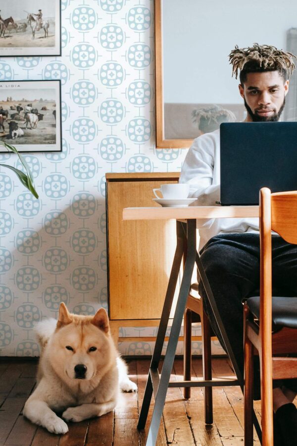 Mid-century modern style office with a dog decorated with Blue geometric peel and stick wallpaper