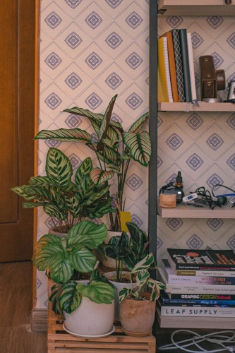 Southwestern style living room decorated with Blue Tile peel and stick wallpaper