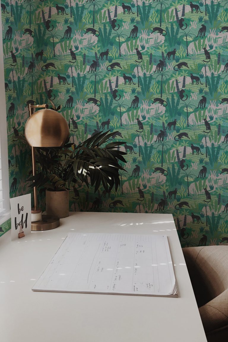Green Tropical cat peel and stick wallpaper for study space or dorm room