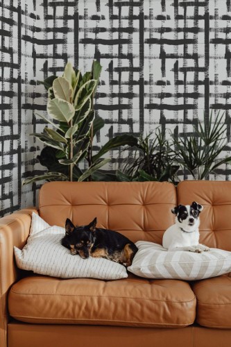 Mid-century modern style living room decorated with Brush stroke gingham peel and stick wallpaper