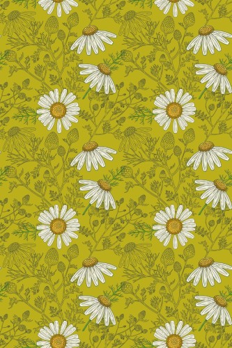 Pattern repeat of Chamomile removable wallpaper design