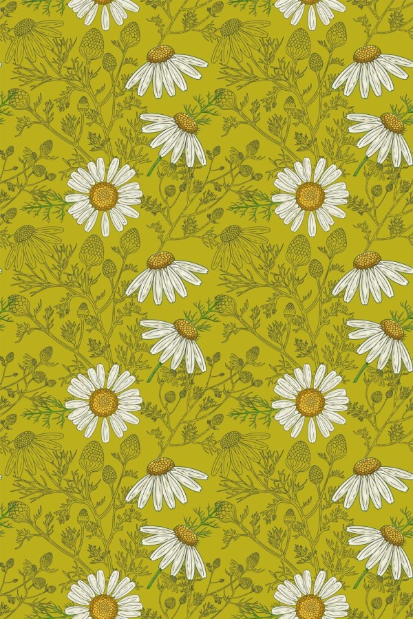 Pattern repeat of Chamomile removable wallpaper design