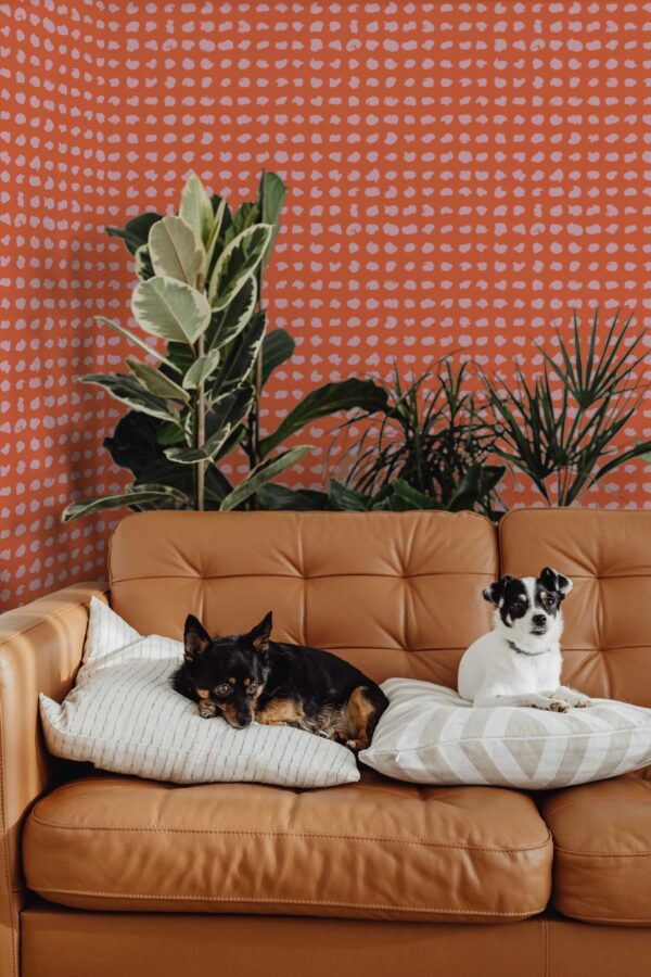 Fancy Walls Fierce Spots peel and stick wallpaper