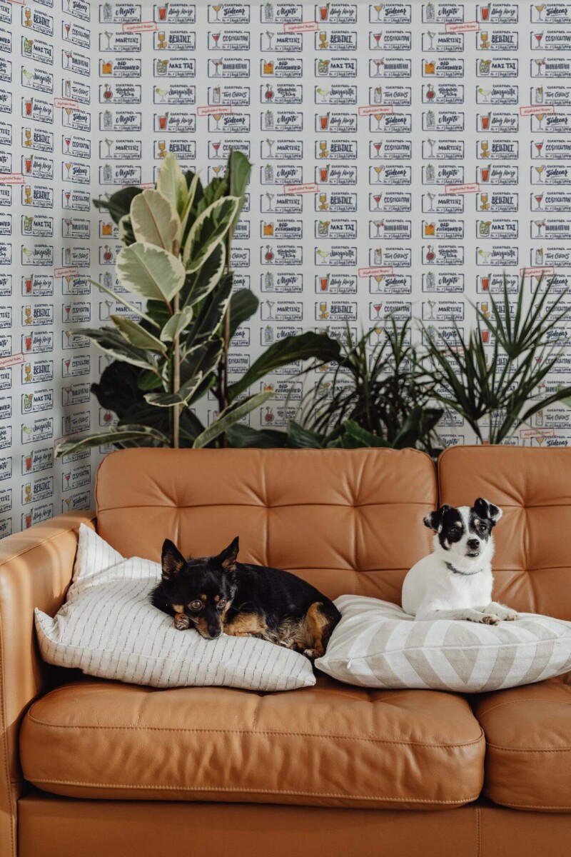 Mid-century modern style living room decorated with Cocktail peel and stick wallpaper