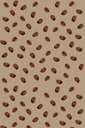 Pattern repeat of Coffee bean for Café removable wallpaper design