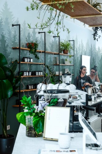 Removable wall mural featuring Serene Misty Forest by Fancy Walls