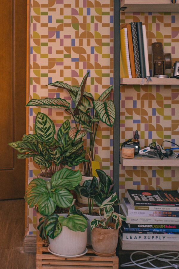 Groovy Geometric Wallpaper