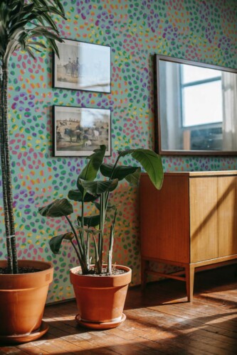 Fancy Walls Peel and Stick Wallpaper in Colorful Dot Design
