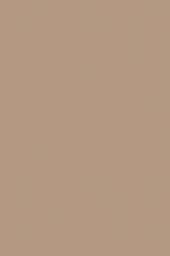 Fancy Walls Brown Solid traditional wallpaper