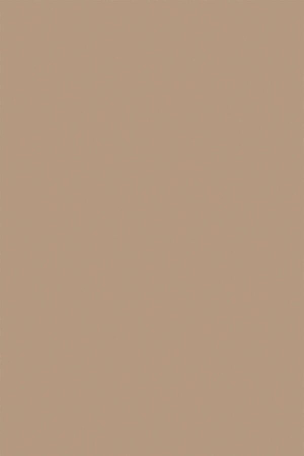 Fancy Walls Brown Solid traditional wallpaper