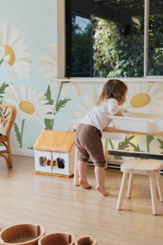 Sunny Daisies peel and stick or non-pasted wall mural. Fancy Walls removable self-adhesive or traditional botanical floral eco-friendly and PVC-free nursery mural for walls.