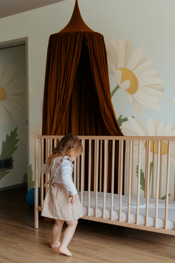 Daisy Day Wall Mural, peel and stick wall murals by Fancy Walls