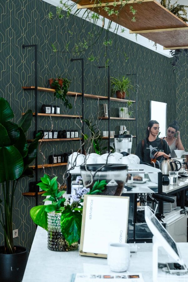 Beautiful Classic Green Art Deco unpasted wallpaper by Fancy Walls