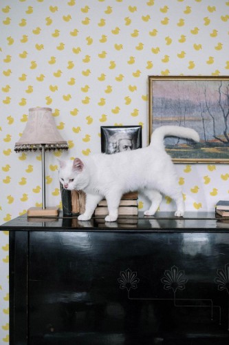 Industrial style music room decorated with Ducks peel and stick wallpaper