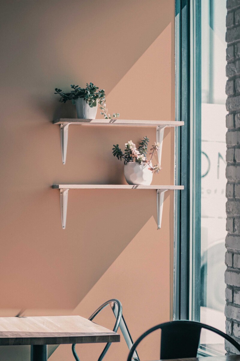 Solid Color Dusty Rose Wallpaper