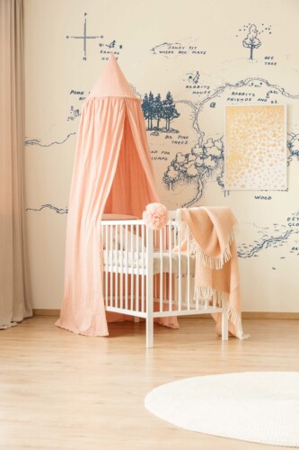 Removable wall mural showcasing a fun blue and white map by Fancy Walls