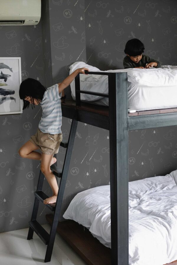 Fancy Walls Fantasy Wizard Gray removable wallpaper
